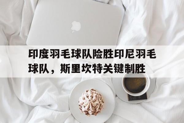 开云官方app入口-印度羽毛球队险胜印尼羽毛球队，斯里坎特关键制胜的简单介绍