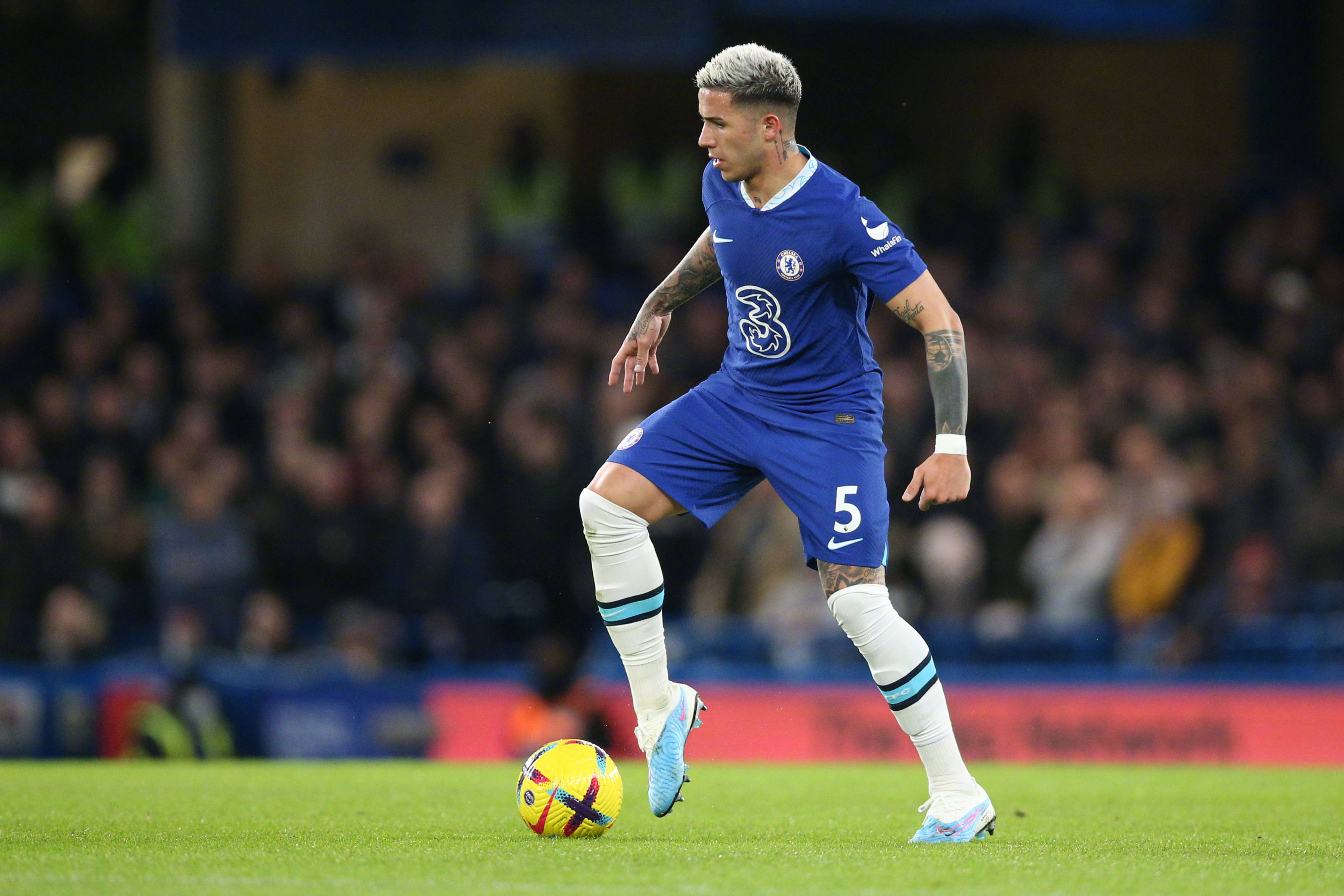 开云体育登录-切尔西新援积极适应球队战术,备受期待的简单介绍