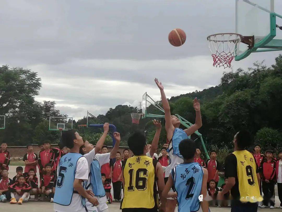 开云下载-关于南美篮球比赛掀起热潮,球迷热情高涨!的信息