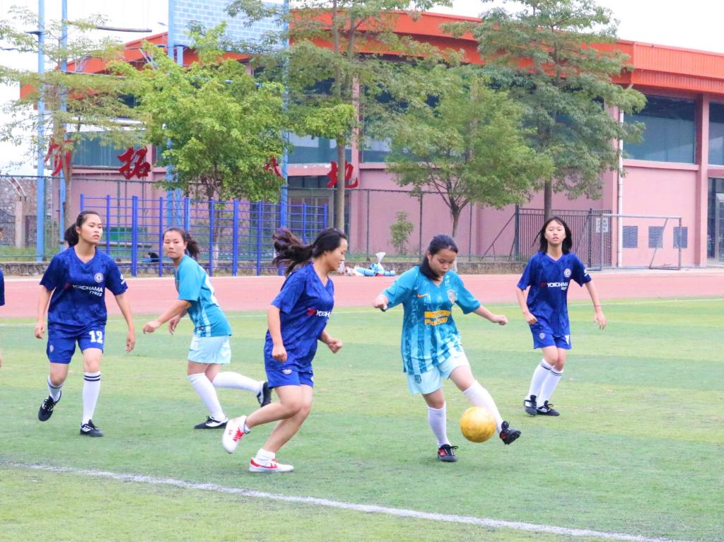 荷兰女子足球队展现团队实力，成功晋级的简单介绍